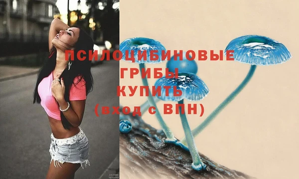 прущие грибы Богородск