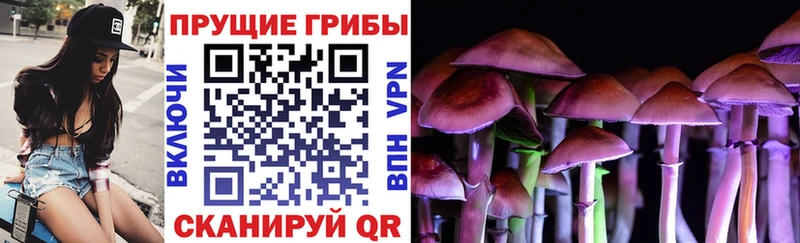 Псилоцибиновые грибы GOLDEN TEACHER  Купить закладки  Сим 